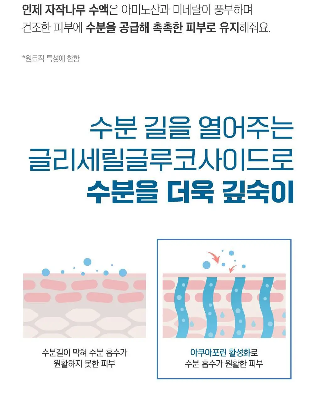[수분촉촉] 라운드랩 자작나무 수분 클렌저 150ml 기획 (+20ml) 상세페이지 9